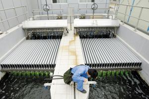 污水廠自動化控制系統